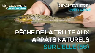 Pêche de la Truite aux appâts naturels sur l'Ellé (56)