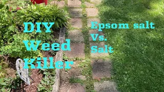 DIY Weed Killer: Epsom salt vs. table salt