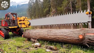 200 CRAZY Powerful Forestry, Wood Crushing, and Land Clearing Machines That Are On Another Level