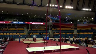 MAYOL Santiago (ARG) - 2018 Artistic Worlds, Doha (QAT) - Qualifications Rings