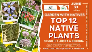 After Hours: Top 12 Native Plants for Gardening in Georgia and Florida