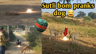 Sutli bom prank dog!! sleeping dogs vs prank dog video!! sutli bomb prank dog!! Desi baba440!!