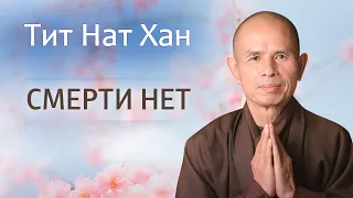 Тит Нат Хан. Смерти нет