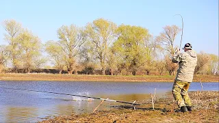 РЫБАЛКА НА САЗАНА И КАРАСЯ. На поплавок и донку. Отличный клёв.