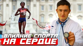 Влияние спорта на сердце. Как правильно тренироваться и не навредить сердцу?