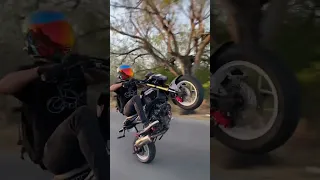 Fast grom wheelies #wheelie #hondagrom