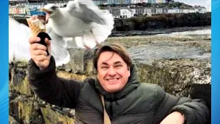 Funny Animals Attacking Humans | Birds Steals Food From People 😄