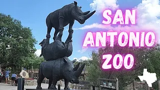 The San Antonio Zoo Texas Summer 2022