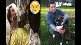 Dog visits hospital to say goodbye to her dying owner one last time