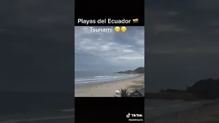 ''Atención, Atención. Posible tsunami'': Esta es la reacción de las personas en la playa