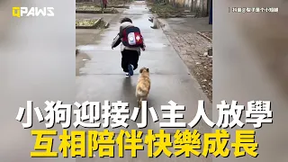 The puppy enthusiastically meets the boy to go home from school and love each other