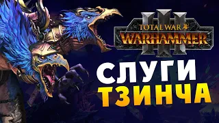 Тзинч - кампания Кайроса Судьбоплёта в Total War Warhammer 3 на русском