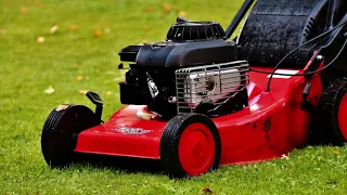 Sound of Petrol Lawn Mower for Sleeping - White Noise All Night Long