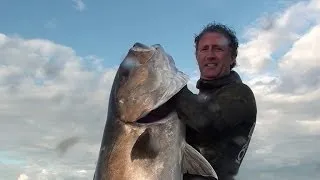 Pescasub: Ricciola di 42 Kg del 16 Dicembre 2013