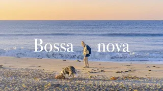 Bossa nova 🐚 | A playlist