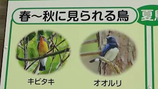 30秒の心象風景27807・野鳥の看板～夢前の森公園～