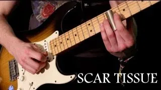 'SCAR TISSUE' by Red Hot Chili Peppers - Instrumental Cover Performed by Karl Golden