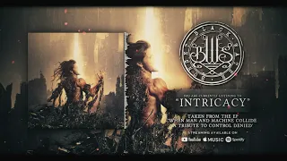 Intricacy (Control Denied Tribute/Cover 2024) @Black_Water_Sunset