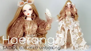 BJD SADOL msd 'HAERANG' Box opening Unboxing 球体関節人形 サトルヘラン 구체관절인형 사돌 해랑 언박싱 개봉기