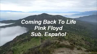 Coming Back To Life (Pink Floyd) Sub. Español