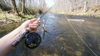 My First Time FLY Fishing!! (Was not expecting this..)