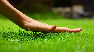 how to touch grass