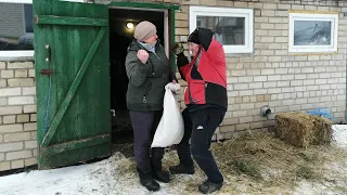 Сільське хазяйство в Україні, виживали як могли...