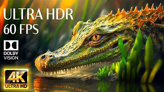4K HDR 60fps Dolby Vision with Animal Sounds & Relaxing Music (Colorful Dynamic) #14