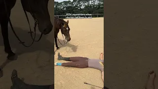 POV: equestrians when doctors tell them to rest #horse #myanimal #equestrian #myhorse #horseriding