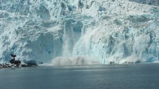 Holgate Glacier calving in Kenai Fjords NP.