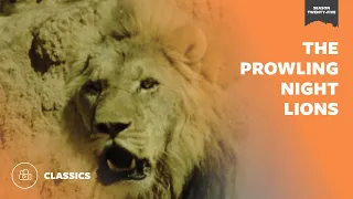 The Prowling Night Lions | Mutual of Omaha's Wild Kingdom