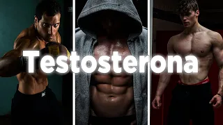 Como AUMENTAR tu TESTOSTERONA y ser un hombre MAS ATRACTIVO