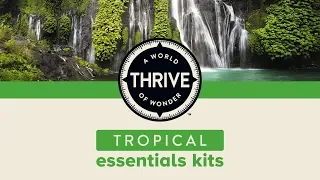 Thrive Tropical Terrarium Kit for Crested Geckos & more | PetSmart