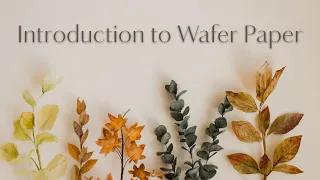 Introduction to Wafer Paper (Online Course)