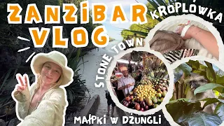 VLOG - ZANZIBAR NAS ZASKOCZYŁ - przygody jak z filmu 🎥