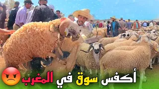 جولة في أكفس سوق للغنم في المغرب سوق مافيهش الحولي فيه غي العتروس والناس حاقدة على الوضعية😡