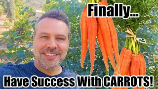 How to Grow Carrots and Beets From Seed... and Have Success!