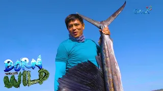 Born to be Wild: Bycatch fishing