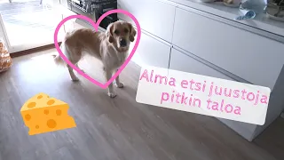 Keitin perunoita ilman vettä?!