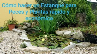 Cómo hacer un Estanque Para Peces y Plantas