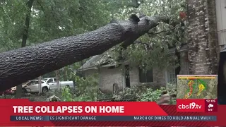 Tree collapses on Tyler home; severe storm causes significant damage across East Texas