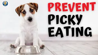 Avoid This Big Mistake When Feeding Your Dog #92