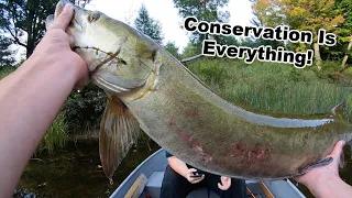 Attempting To Rescue Muskie From Near Death | Conservation Is Everything!