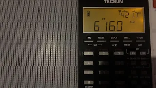 Tecsun PL-880 vs Sony ICF-SW100