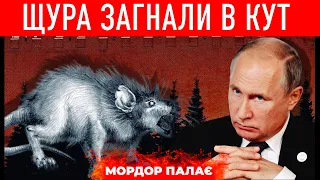 Наступ, визнання "республік" чи сором: Путін загнав себе в пастку