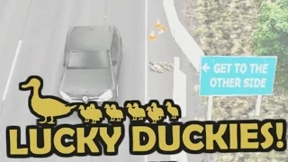 [ITA] LUCKY DUCKIES - VI SFIDO !!!!!!!