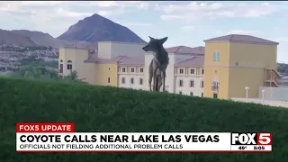 Animal control no longer receiving calls on problem coyotes after bites at Lake Las Vegas