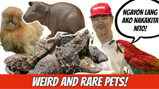 MGA WEIRD AT RARE PETS SA ANIMAL CON 2023