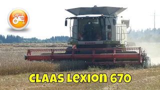 Harvest 2022 | Claas Lexion 670 combine