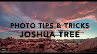 Photo Tricks and Travel Tips - Joshua Tree National Park-with Harry van Gorkum